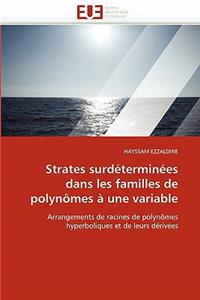 Strates Surd�termin�es Dans Les Familles de Polyn�mes � Une Variable