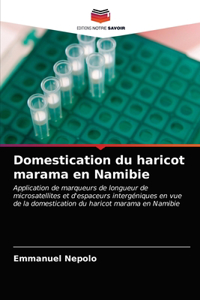 Domestication du haricot marama en Namibie