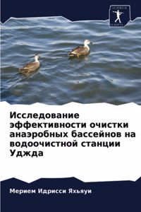 Исследование эффективности очистки анаэ&