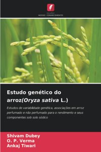 Estudo genético do arroz(Oryza sativa L.)