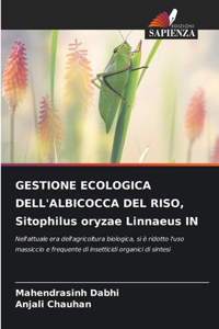 GESTIONE ECOLOGICA DELL'ALBICOCCA DEL RISO, Sitophilus oryzae Linnaeus IN