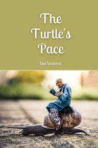 Turtle's Pace