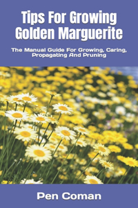 Tips For Growing Golden Marguerite