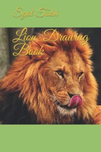 Lion Drawing Book