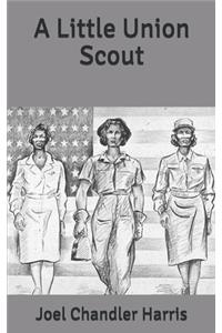 A Little Union Scout