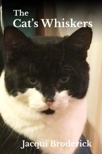 Cat's Whiskers