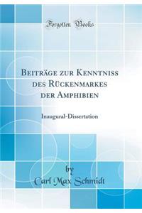Beitrï¿½ge Zur Kenntniss Des Rï¿½ckenmarkes Der Amphibien: Inaugural-Dissertation (Classic Reprint)