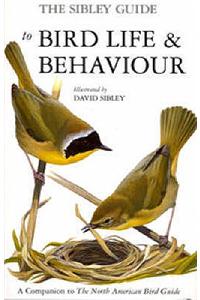 Sibley Guide to Bird Life and Behaviour