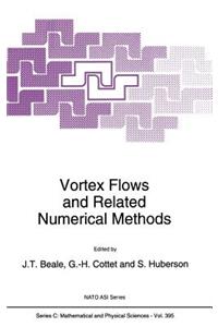 Vortex Flows and Related Numerical Methods