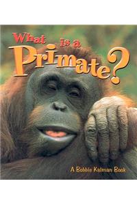 What Is a Primate?