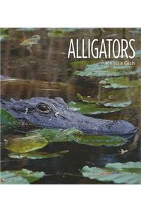 Living Wild: Alligators