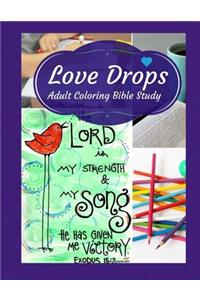 Adult Coloring Bible Study
