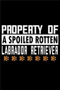 Property of a Spoiled Rotten Labrador Retriever