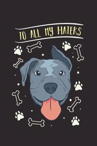To All My Haters