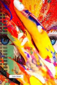Color Vision