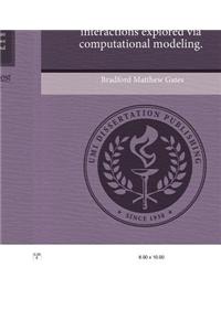 Beta Amyloid-Neuron Interactions Explored Via Computational Modeling.