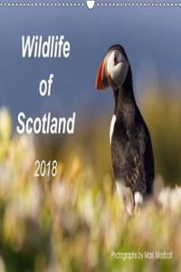 Wildlife of Scotland 2018 2018