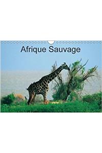 Afrique Sauvage 2018