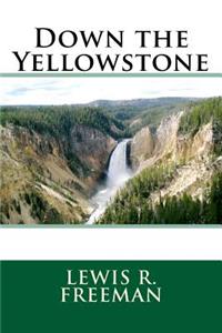 Down the Yellowstone