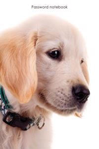Password Notebook: Large Internet Address and Password Logbook / Journal / Diary - Golden Retriever Puppy Cover