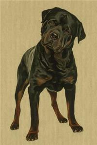 Rottweiler