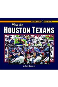 Meet the Houston Texans
