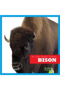 Bison