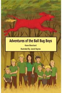 Adventures of the Ball Bug Boys