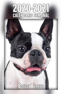 2020-2021 Calendario Semanal Boston Terrier