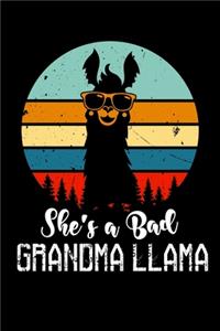 She's a Bad Grandma Llama !
