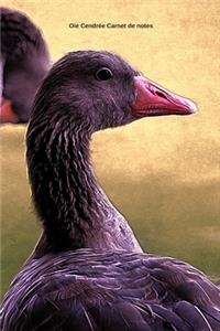 Oie Cendrée Carnet de notes
