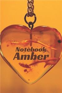 Amber Notebook
