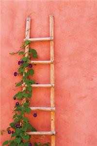Santa Fe Ladder