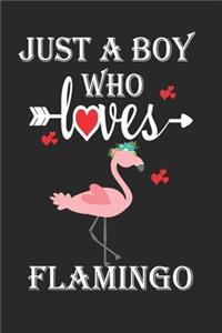 Just a Boy Who Loves Flamingo