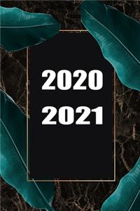 2020 / 2021
