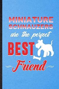 Miniature Schnauzers Are the Perfect Best Friend