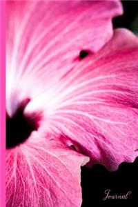 Pink #2 Journal
