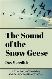 Sound of the Snow Geese