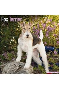 Fox Terrier Calendar 2018