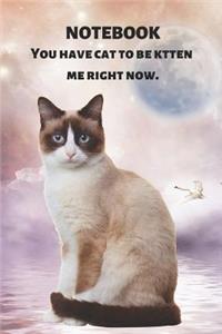 Notebook You Have Cat to Be Kitten Me Right Now