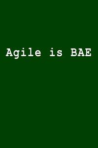 Agile Is Bae