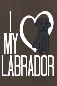 Labrador
