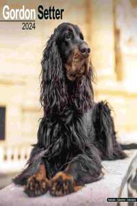 Gordon Setter Calendar 2024  Square Dog Breed Wall Calendar - 16 Month