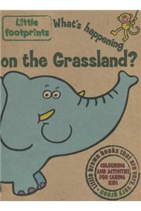 What's Happening on the Grassland?