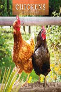 CHICKENS 2023 SQUARE WALL CALENDAR
