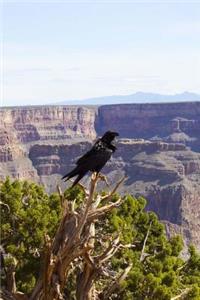 Crow at the Grand Canyon Nature Journal