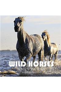 Wild Horses Calendar 2018