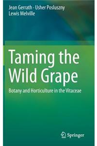 Taming the Wild Grape