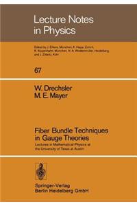 Fiber Bundle Techniques in Gauge Theories