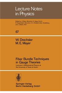 Fiber Bundle Techniques in Gauge Theories